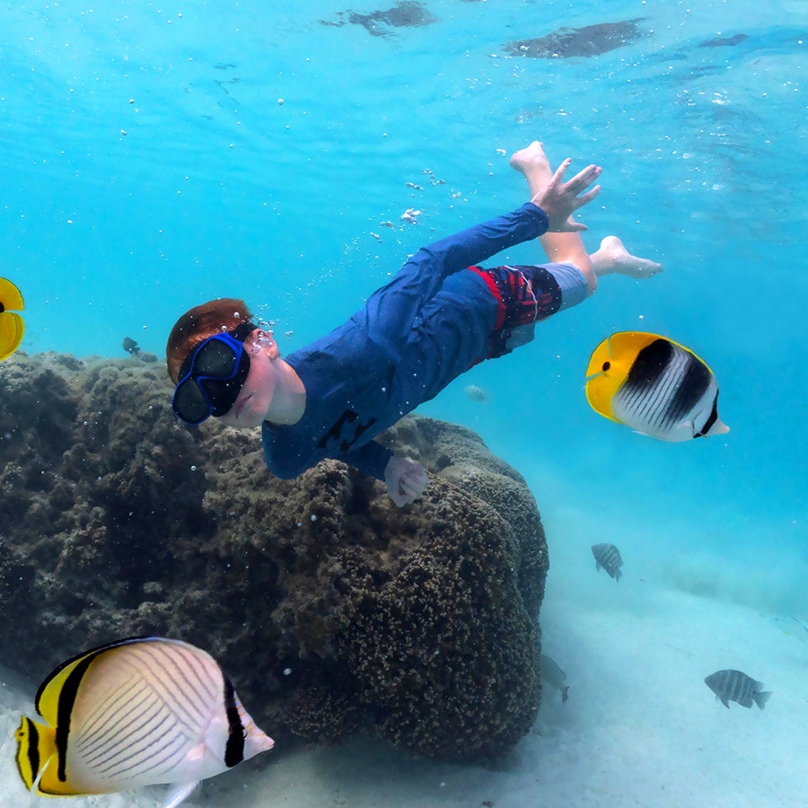 Moorea Snorkeling Safari